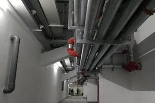 為科技創新點贊 公司成功舉辦機電安裝與BIM精品工程現場觀摩會，引領行業室內外裝飾新高度